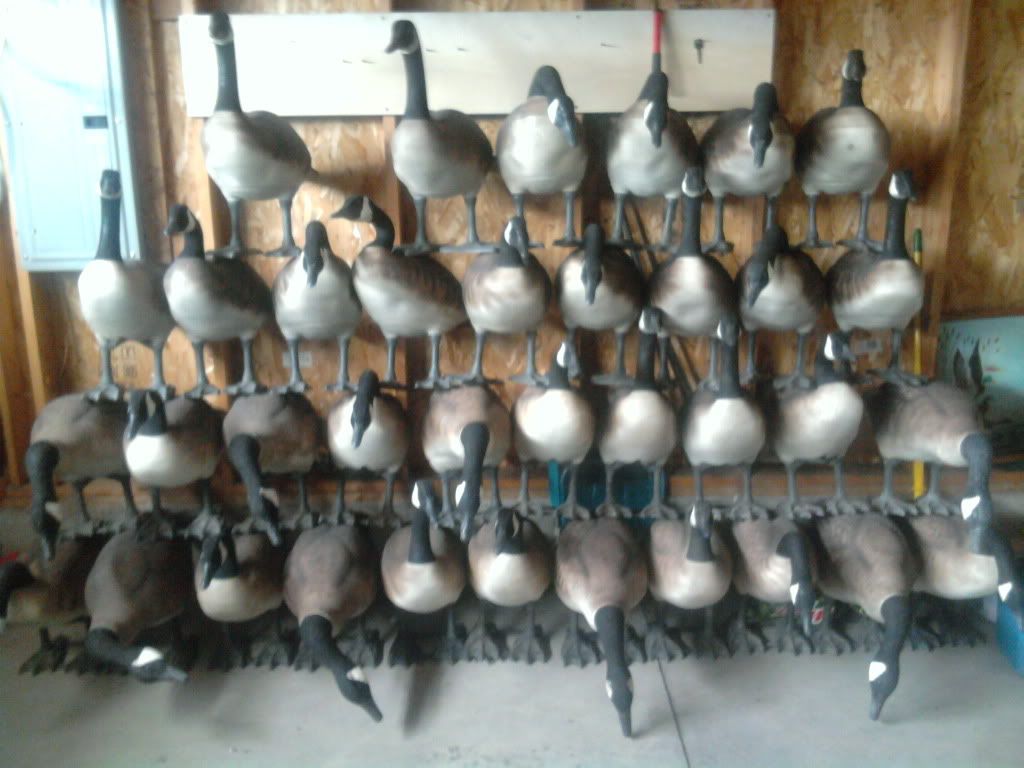 Bigfoot Goose Decoys For Sale Duck Hunting Forum